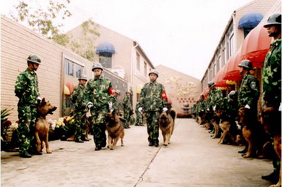 2013-2014年度上海市青年文明号-上海永升工作犬管理有限公司犬防特勤部